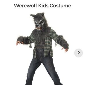 Gray and Green Werewolf Kids Costume